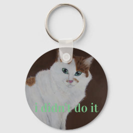 Chaveiro eu não fiz isso