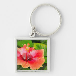 Chaveiro EUA, Alabama, Theodore Near Mobile 4