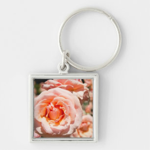 Chaveiro EUA, Alabama, Theodore Near Mobile 5