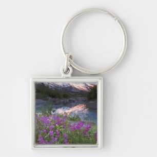 Chaveiro EUA, Alaska, Alsek-Tatshenshini Wilderness.