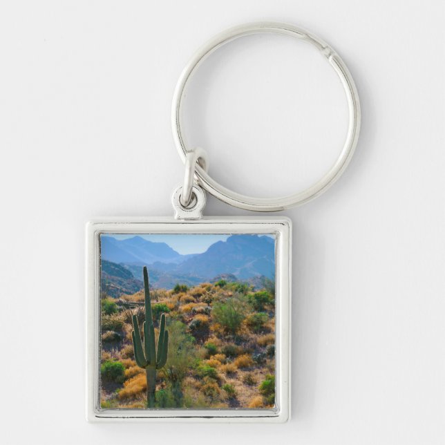 Chaveiro EUA, Arizona. Desert View (Frente)