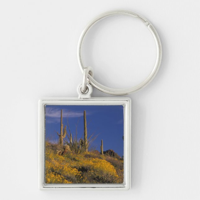 Chaveiro EUA, Arizona, Organ Pipe Cactus National 2 (Frente)