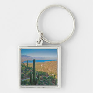 Chaveiro EUA, Arizona. Vista da Entrada para Tonto