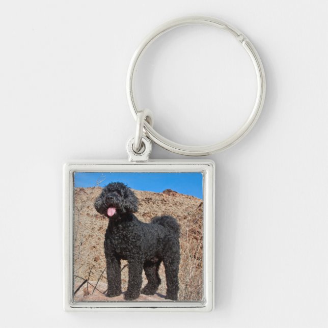 Chaveiro EUA, Califórnia. Labradoodle em Pé (Frente)