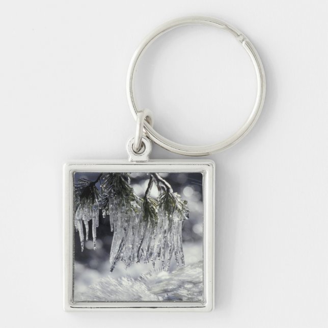 Chaveiro EUA, Califórnia, Lago Tahoe. Ciclos sobre (Frente)