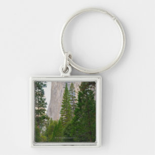 Chaveiro EUA, Califórnia, parque nacional de Yosemite, EL 