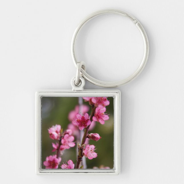 Chaveiro EUA, Califórnia. Sangue Rosa Em Uma Árvore (Frente)