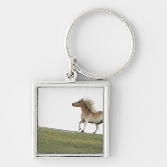 Chaveiro EUA, Estados de Nova Iorque, Hudson, cavalo que (Frente)