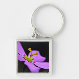 Chaveiro EUA, Florida, Big Cypress National Preserve