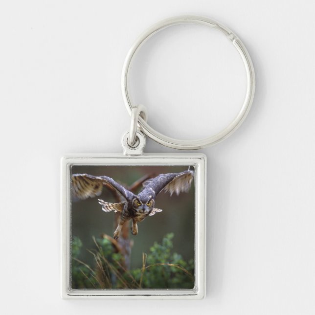 Chaveiro EUA, Geórgia, Pine Mountain, Jardins Callaway. (Frente)