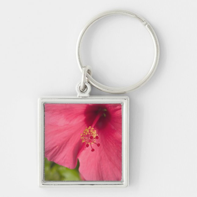 Chaveiro EUA, Havaí, Kauai, Hibisco (Frente)