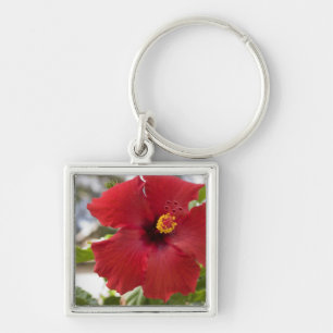Chaveiro EUA, Havaí, Oahu. O Hibisco é o