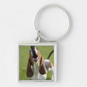 Chaveiro EUA, Illinois, Washington, retrato do Bassett