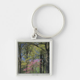 Chaveiro EUA, Kentucky, Louisville. Redbud Oriental
