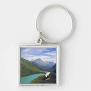 Chaveiro EUA, Montana, parque nacional de geleira, montanha