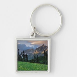 Chaveiro EUA, Montana, Parque Nacional Glacier, Logan Pass