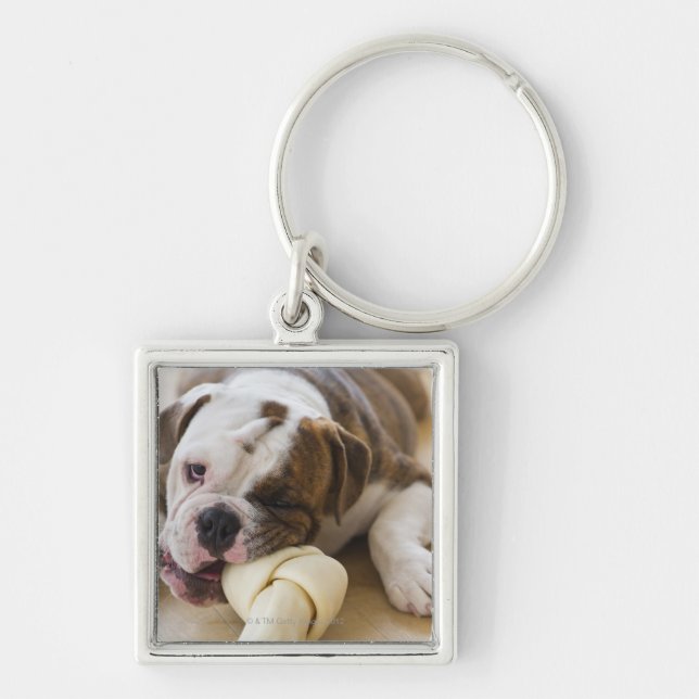 Chaveiro EUA, New-jersey, Jersey City, filhote de cachorro (Frente)