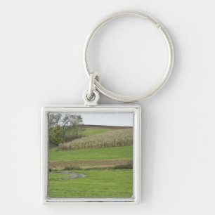 Chaveiro EUA, Ohio do nordeste. Carrinho de Amish na