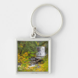 Chaveiro EUA, Oregon, Parque Estadual Silver Falls 2