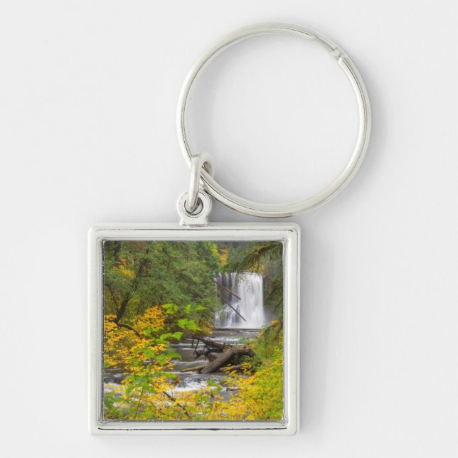 Chaveiro EUA, Oregon, Parque Estadual Silver Falls 2 (Frente)