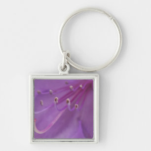 Chaveiro EUA, Oregon, Portland. Encerramento de um