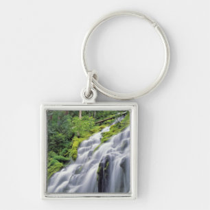Chaveiro EUA, Oregon, Proxy Falls. Proxy Falls corre