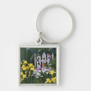 Chaveiro EUA, Pensilvânia. Os íris de jardim crescem