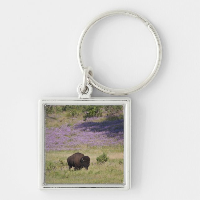 Chaveiro EUA, South Dakota, bisonte americano (bisonte do (Frente)