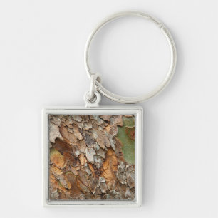 Chaveiro EUA, Tennessee, feche o Latido em uma árvore