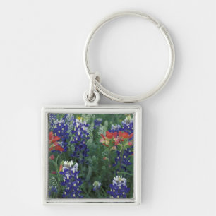 Chaveiro EUA, Texas Hill Country. Bluebonnets e