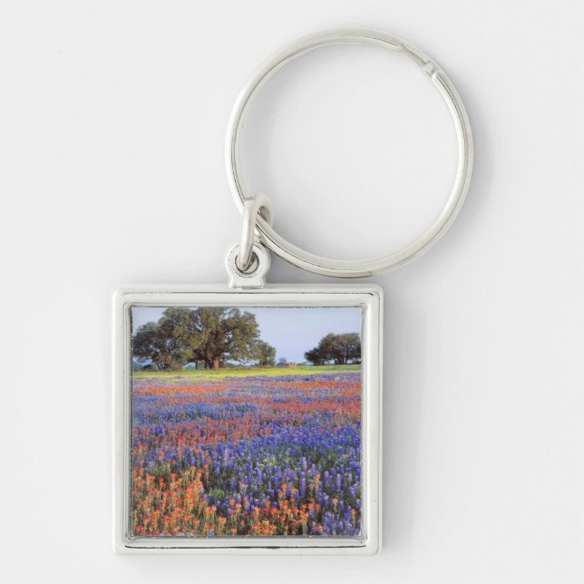 Chaveiro EUA, Texas, Llano. Bluebonnets e redbonnets (Frente)