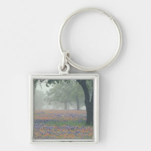 Chaveiro EUA, Texas. Pincel de Texas e bluebonnets