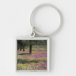 Chaveiro EUA, Texas, Sand Verbena e Olhos Castanhos