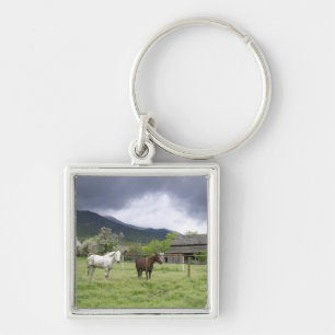 Chaveiro EUA, Utá, cavalos no rancho