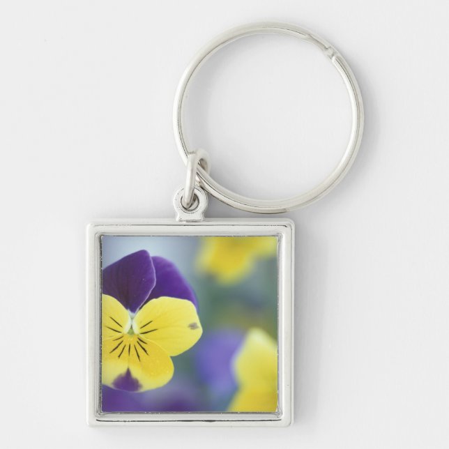 Chaveiro EUA, Utah, Cache Valley Detail de um Johnny Jump (Frente)