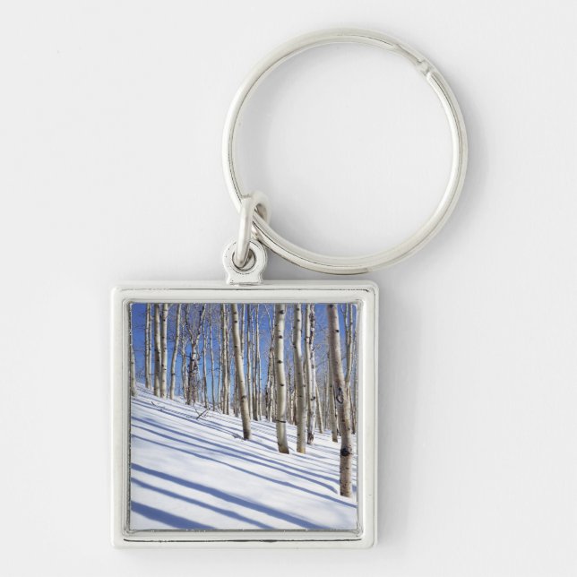 Chaveiro EUA, Utah, Floresta Nacional Dixie, Aspen Grove (Frente)