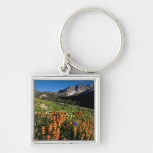 Chaveiro EUA, Utah, Floresta Nacional Uinta-Wasatch-Cache