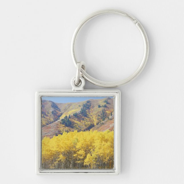 Chaveiro EUA, Utah, Floresta Nacional Wasatch-Cache, (Frente)