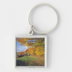 Chaveiro EUA, Vermont, Jenne Farm. Outono chega a Jenne