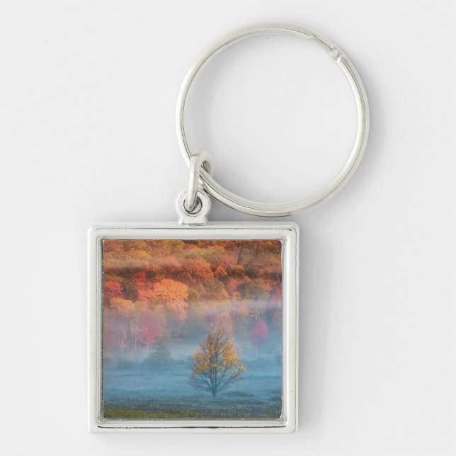 Chaveiro EUA, Virginia Ocidental, Davis. Misty Valley e (Frente)