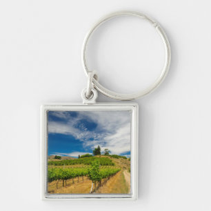 Chaveiro EUA, Washington, Lago Chelan. Vinhedo 3