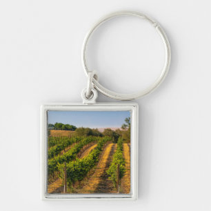 Chaveiro EUA, Washington Oriental, Vinhas Walla Walla