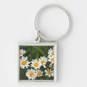 Chaveiro EUA, Washington, Seattle, Puget Sound 3