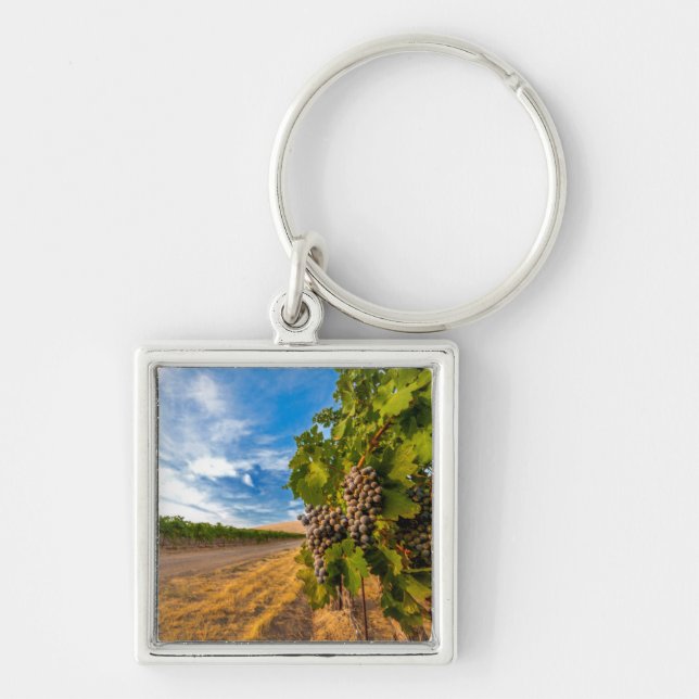 Chaveiro EUA, Washington, Vale de Yakima. Uvas Merlot (Frente)