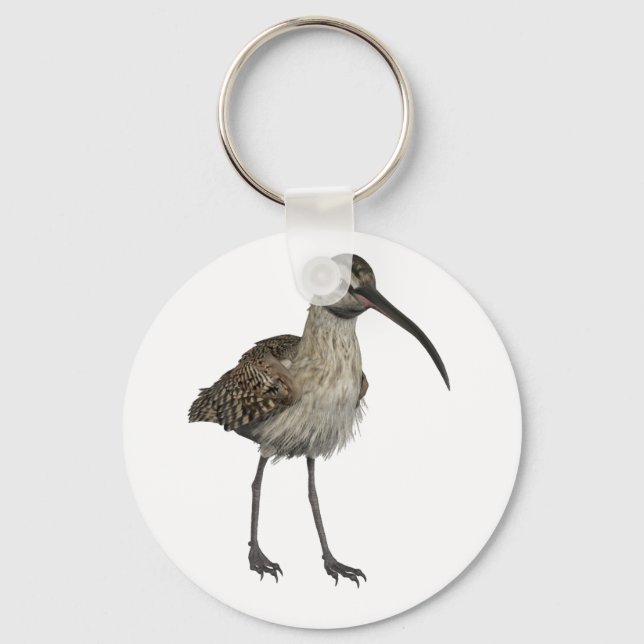 Chaveiro Eurasian Curlew (Frente)