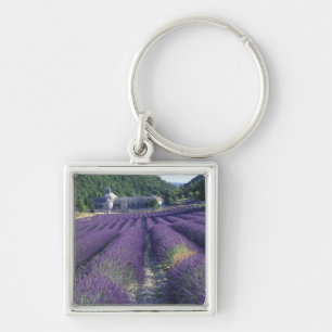 Chaveiro Europa, França, Provença. Campos de lavanda