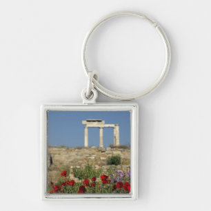 Chaveiro Europa, Grécia, Cíclades, Delos. Ruínas de colu
