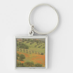 Chaveiro Europa, Itália, Toscana, Val D'Orcia, Monte