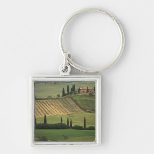 Chaveiro Europa, Itália, Toscana, Val d'Orcia, Toscano