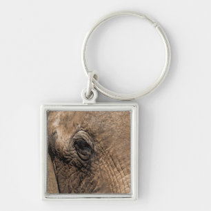 Chaveiro Face de um Elefante